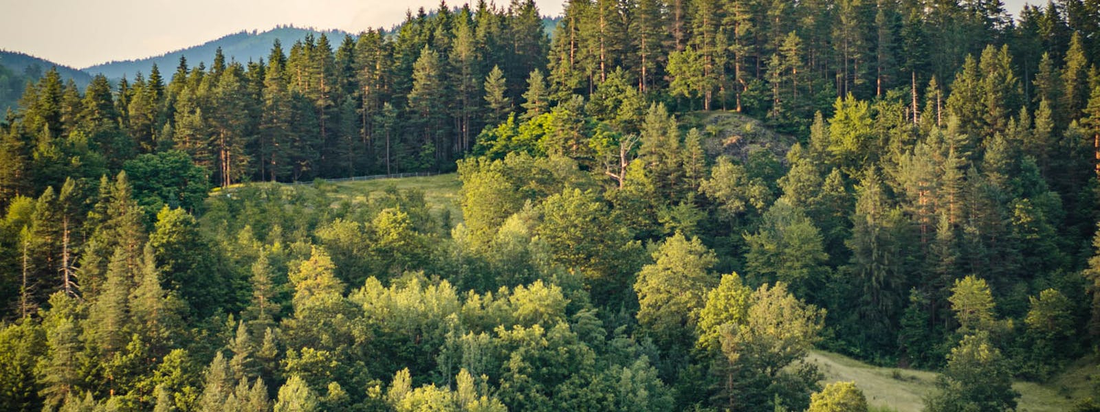 Stockage et Garde-Meuble dans les Ardennes